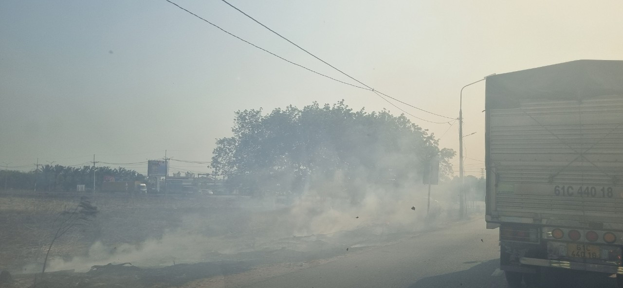 Cháy cỏ khô bên hành lang quốc lộ 51 đoạn qua xã An Phước, huyện Long Thành Cháy cỏ khô bên hành lang quốc lộ 51 đoạn qua xã An Phước, huyện Long Thành