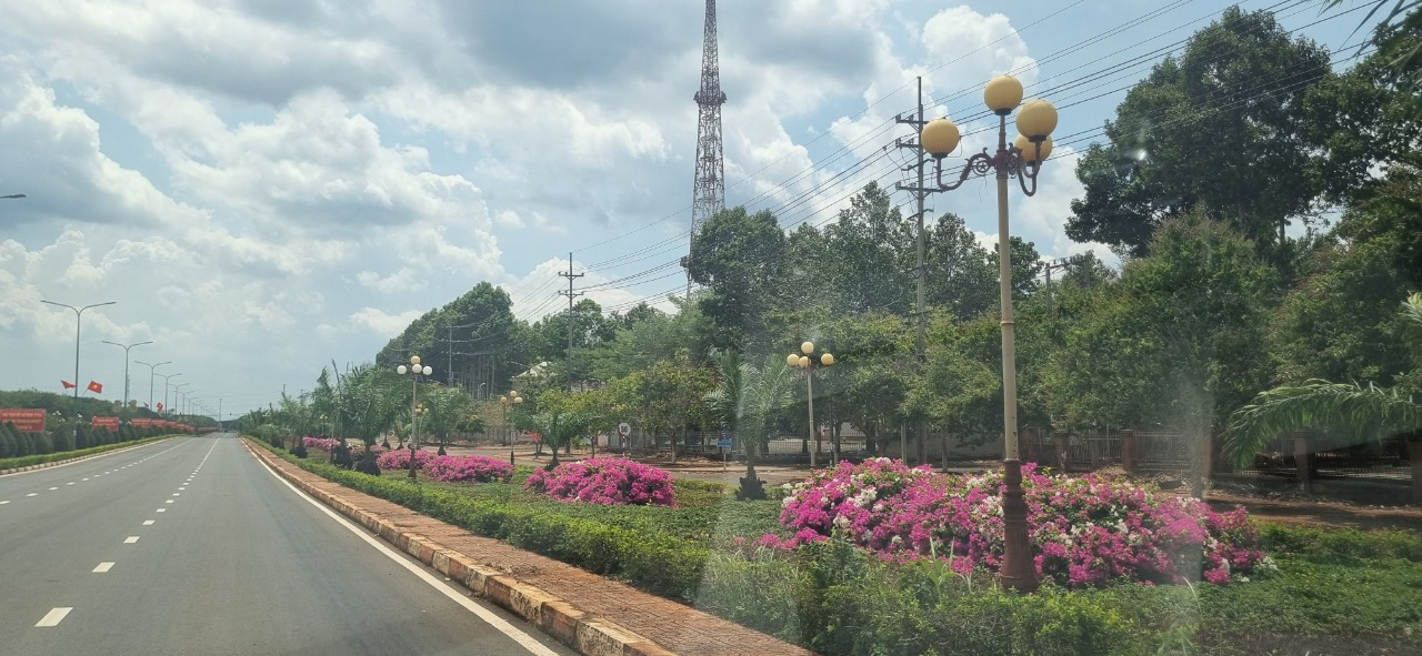 Cây xanh đô thị tại huyện Cẩm Mỹ