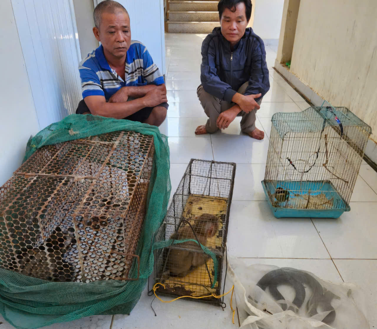 Hai đối tượng vi phạm cùng tang vật