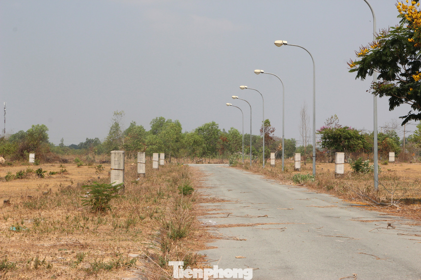 Một khu dân cư hình thành đã hoàn chỉnh hạ tầng, chỉ có cỏ mọc Một khu dân cư hình thành đã hoàn chỉnh hạ tầng, chỉ có cỏ mọc