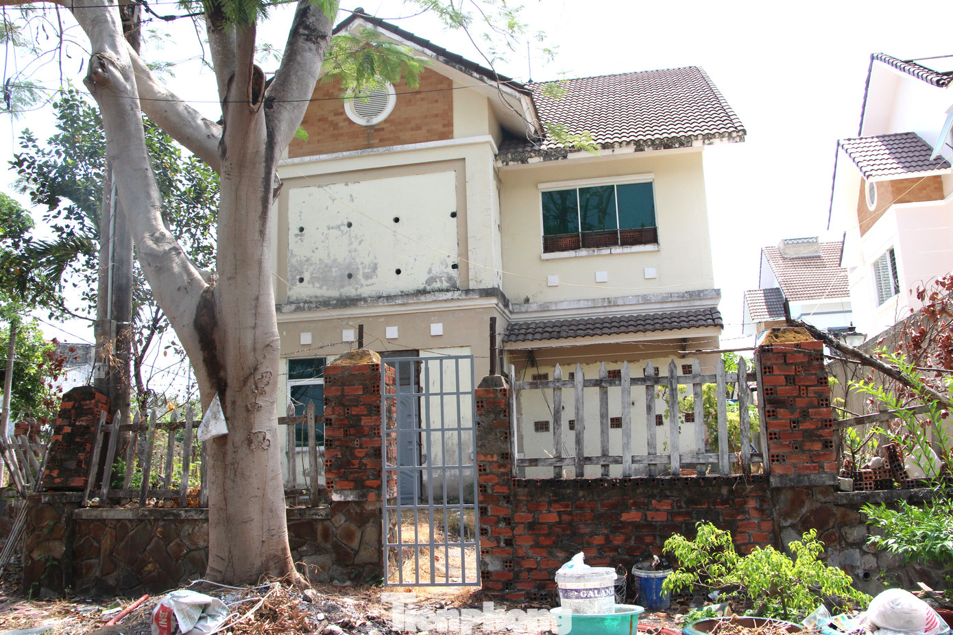 Căn biệt thự trở thành nhà nuôi yến Căn biệt thự trở thành nhà nuôi yến