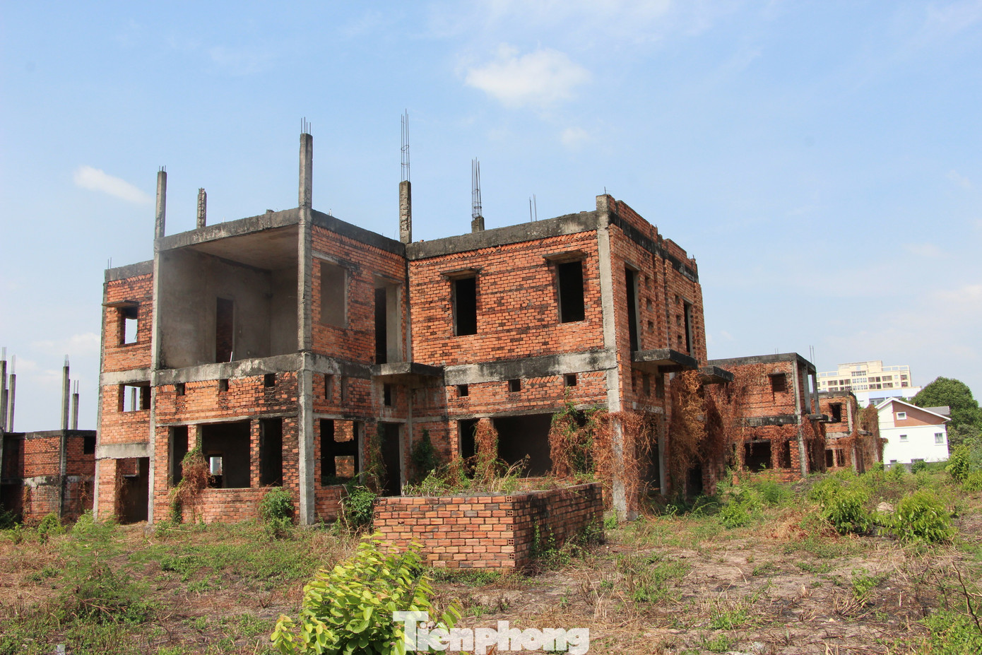 Một khu "đô thị ma" hiện hữu tại huyện Nhơn Trạch hiện nay Một khu "đô thị ma" hiện hữu tại huyện Nhơn Trạch hiện nay