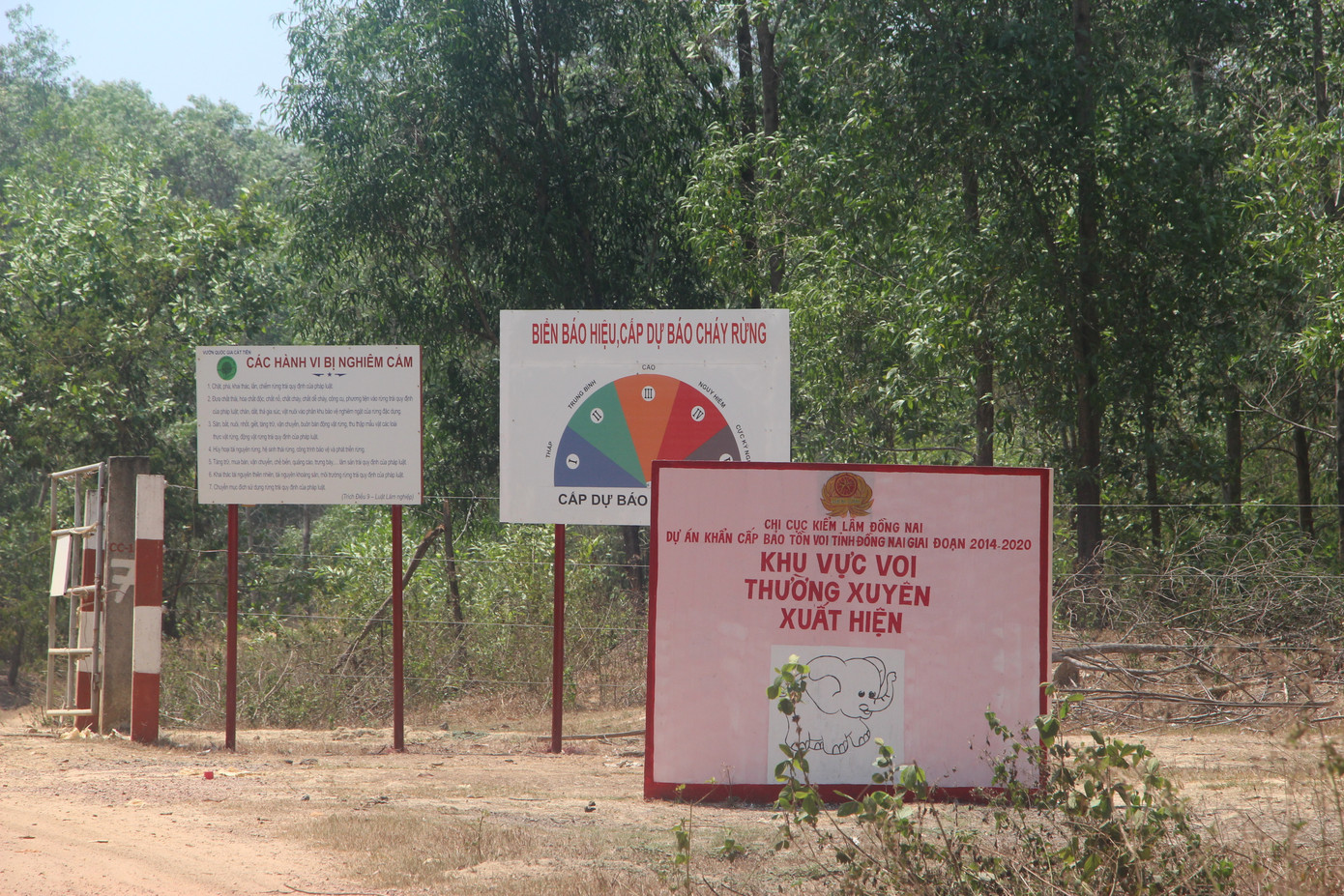 Cảnh báo voi tại khu vực cửa rừng ở xã Thanh Sơn, huyện Định Quán Cảnh báo voi tại khu vực cửa rừng ở xã Thanh Sơn, huyện Định Quán