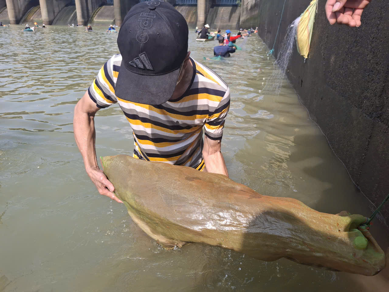 Bắt được cá &quot;khủng&quot; xem như trúng &quot;lộc trời&quot;. Những con cá lăng có thể bán ngay tại chỗ với giá cả triệu đồng