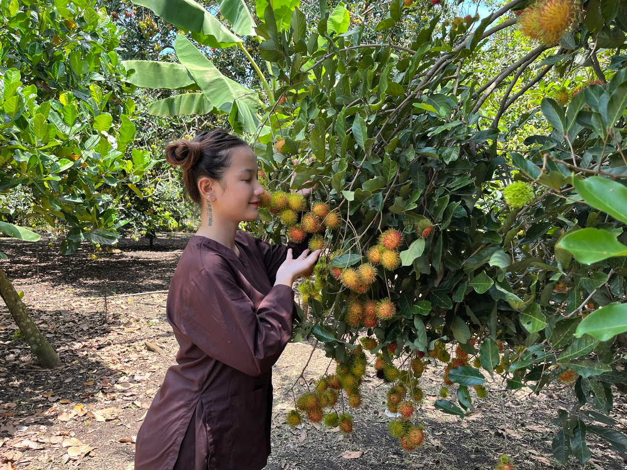 Du khách tại một vườn trái cây tại Long Khánh