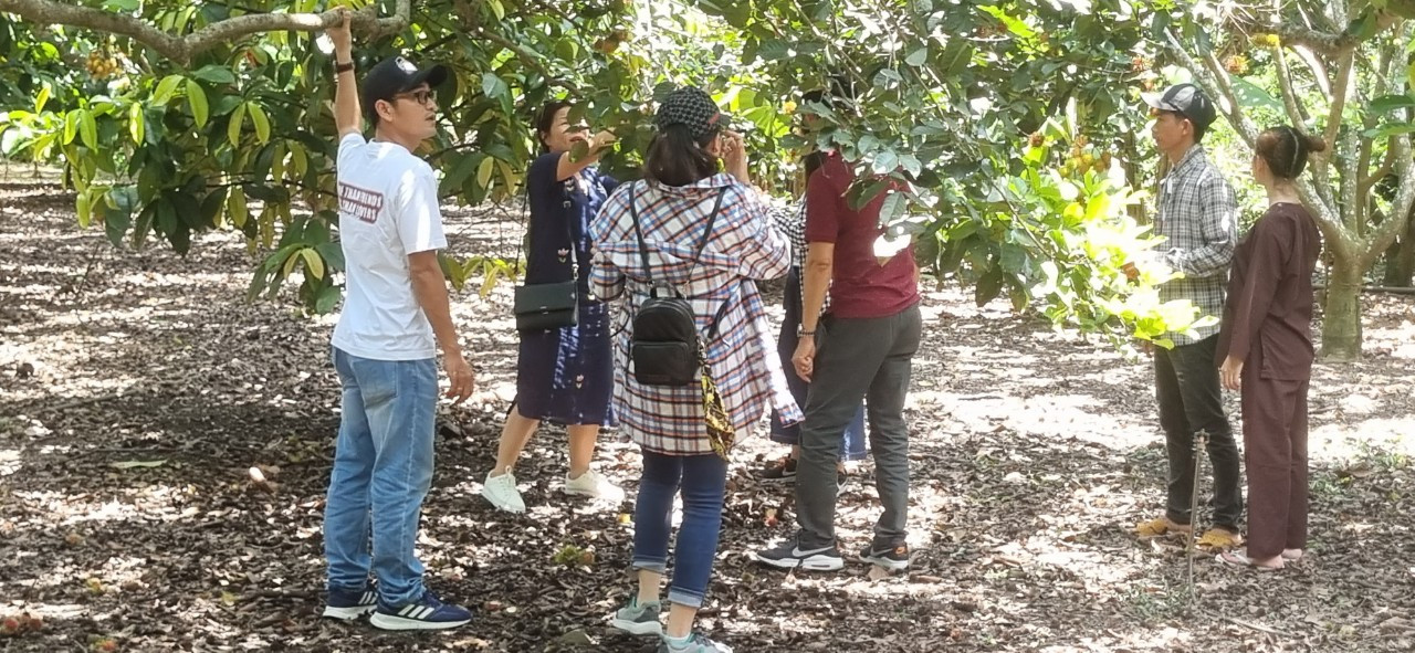 Du khách trải nghiệm thưởng thức trái cây tại các nhà vườn ở Long khánh