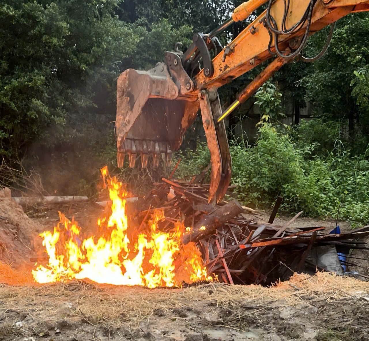 Tiêu hủy hổ chết tại Đồng Nai