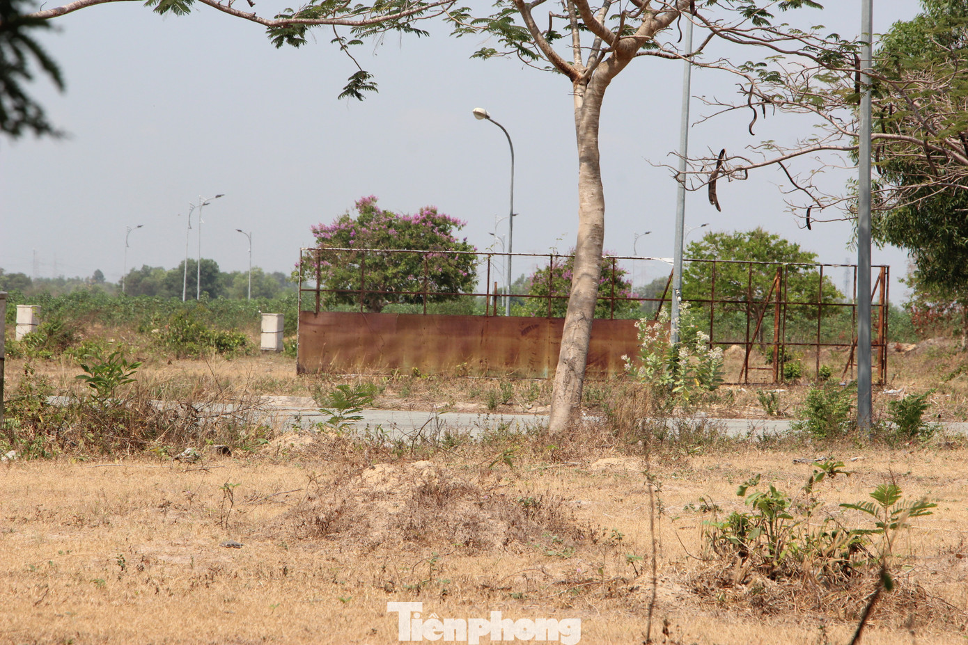 Huyện Nhơn Trạch đã đề xuất thu hồi nhiều dự án, tuy nhiên vẫn còn nhiều dự án bất động sản chưa hoặc chậm triển khai