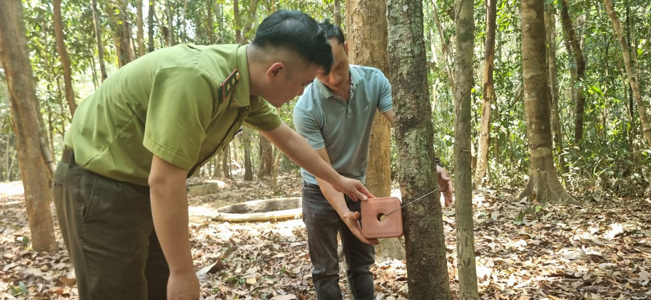 Muối khoáng được đặt gần bể nước cho thú rừng liếm bổ sung khoáng chất