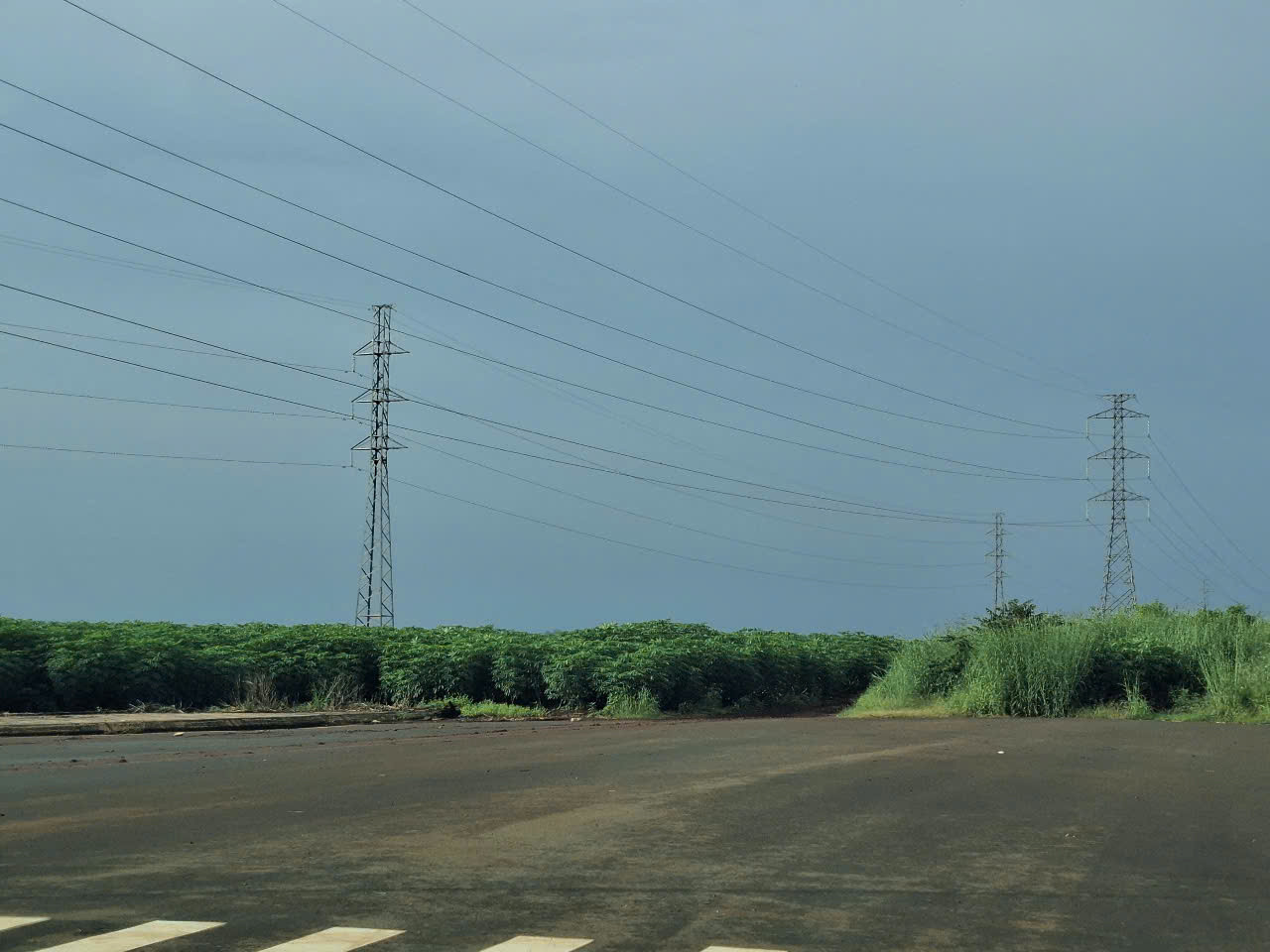 Khu đất quy hoạch cụm công nghiệp tại huyện Cẩm Mỹ được đưa vào đấu giá năm 2024 Khu đất quy hoạch cụm công nghiệp tại huyện Cẩm Mỹ được đưa vào đấu giá năm 2024