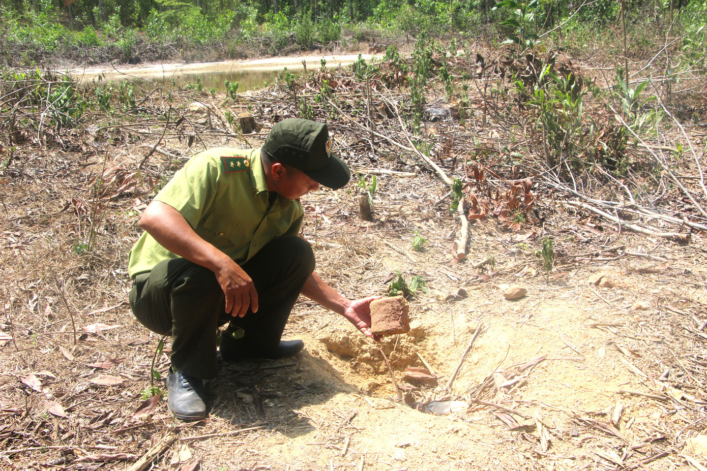 Nhân viên kiểm lâm Hạt Kiểm lâm Định Quán kiểm tra, đặt muối khoáng cho voi bổ sung khoáng chất Nhân viên kiểm lâm Hạt Kiểm lâm Định Quán kiểm tra, đặt muối khoáng cho voi bổ sung khoáng chất