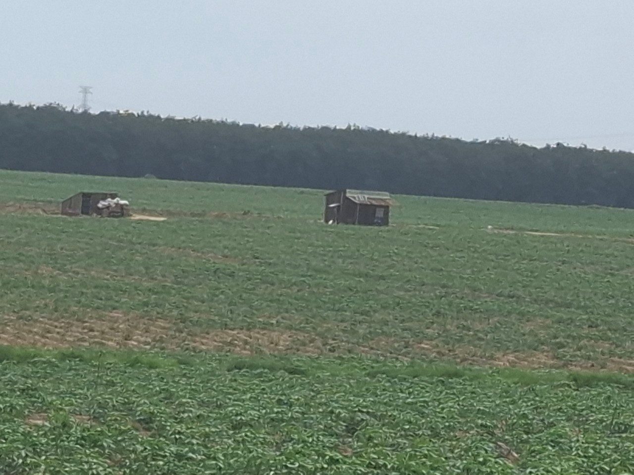 Diện tích đất nông nghiệp ở nông thôn được tách thửa tối thiểu 1 ngàn m2