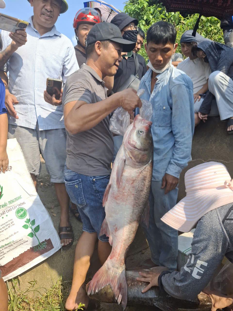 Một người hồ hởi sau khi mua được một con cá lớn