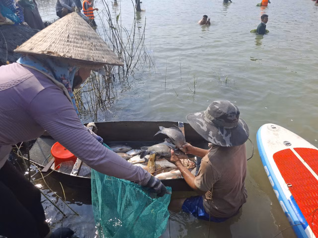 Một người "trúng" lớn, bắt được nhiều cá