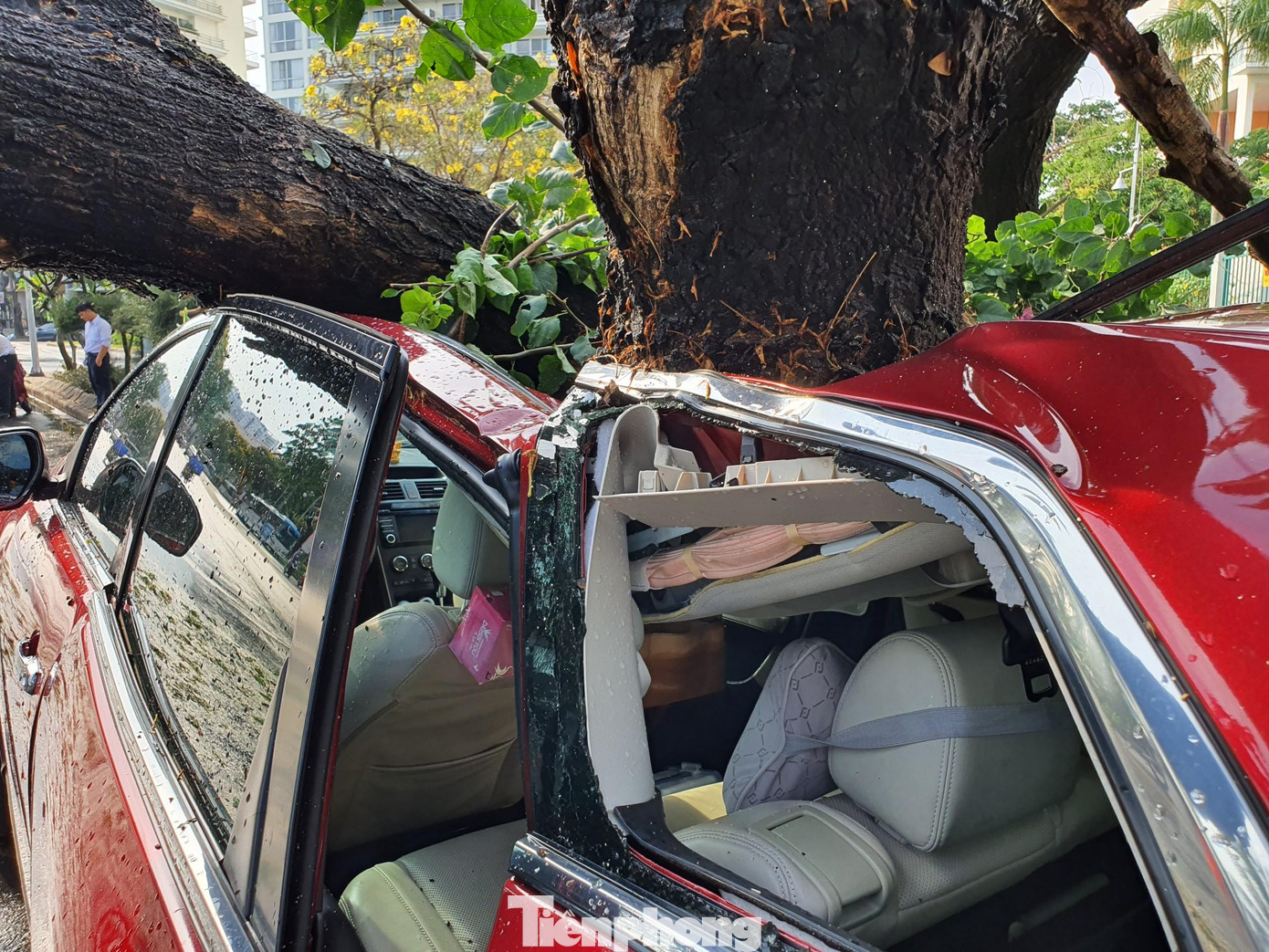 Ô tô hư hỏng nặng.