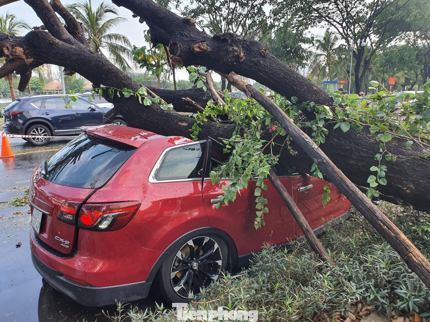 Chiếc ô tô tiền tỉ bị đè bẹp.