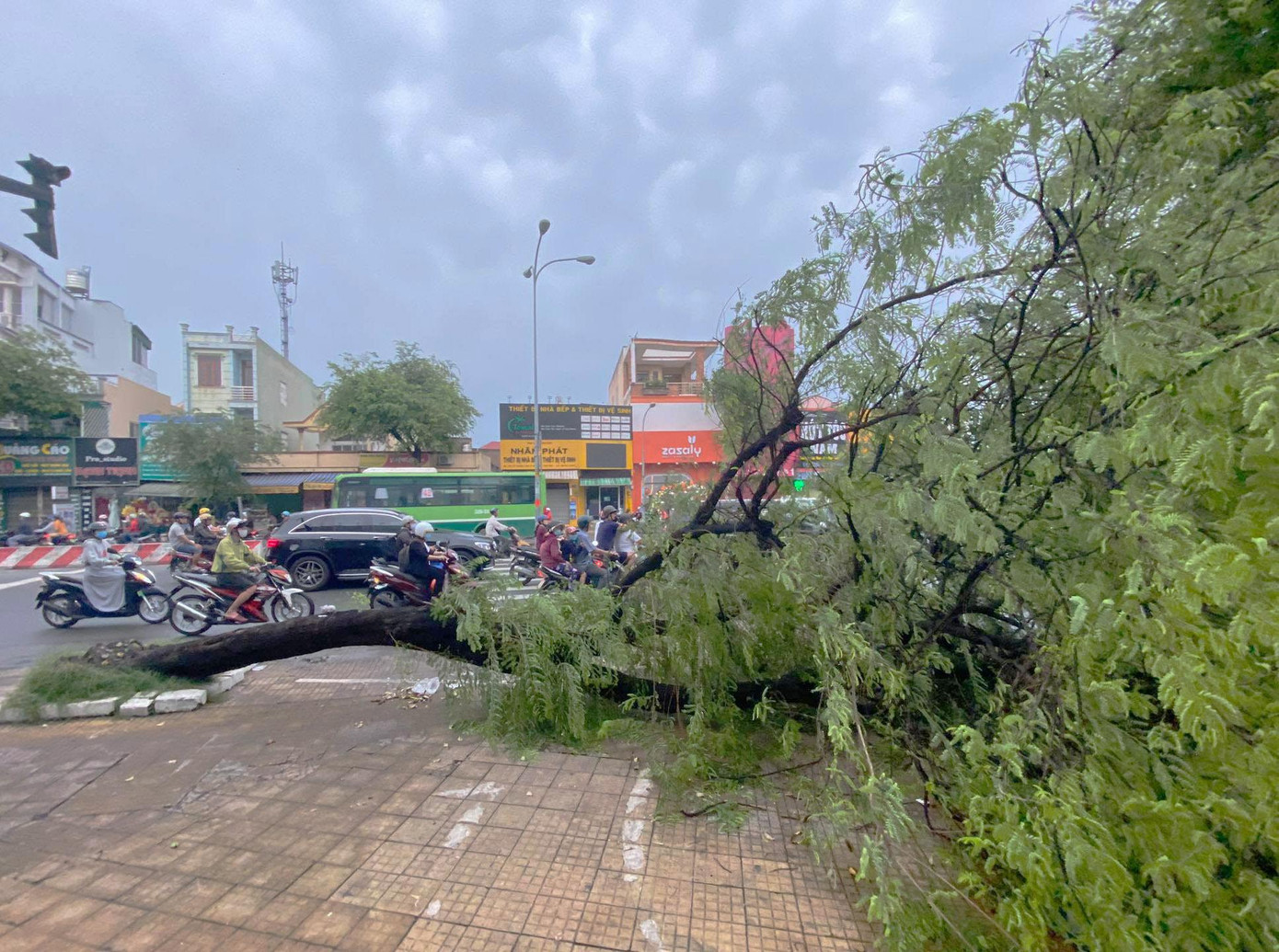 Cơn mưa lớn kèm gió giật mạnh vào rạng sáng nay cũng khiến hàng loạt cây xanh trên nhiều tuyến đường bị bật gốc, gãy nhánh. Cơn mưa lớn kèm gió giật mạnh vào rạng sáng nay cũng khiến hàng loạt cây xanh trên nhiều tuyến đường bị bật gốc, gãy nhánh.