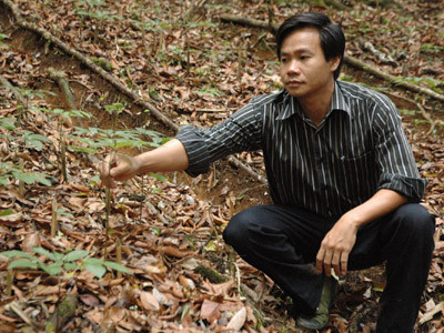 Ông Trần Hoàn - Chủ tịch HĐQT, Tổng giám đốc Cty CP Sâm Ngọc Linh