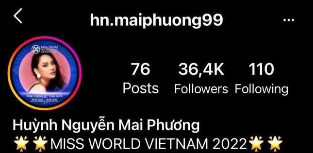 Hoa hậu Mai Phương chủ yếu chỉ theo dõi trang cá nhân của bạn bè và đồng nghiệp. - Ảnh: IG nhân vật.