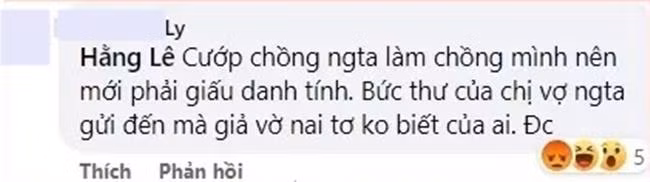 ... thì bị tấn công bởi bình luận "bóng gió" về việc cô là "người thứ ba". - Ảnh: FBNV.