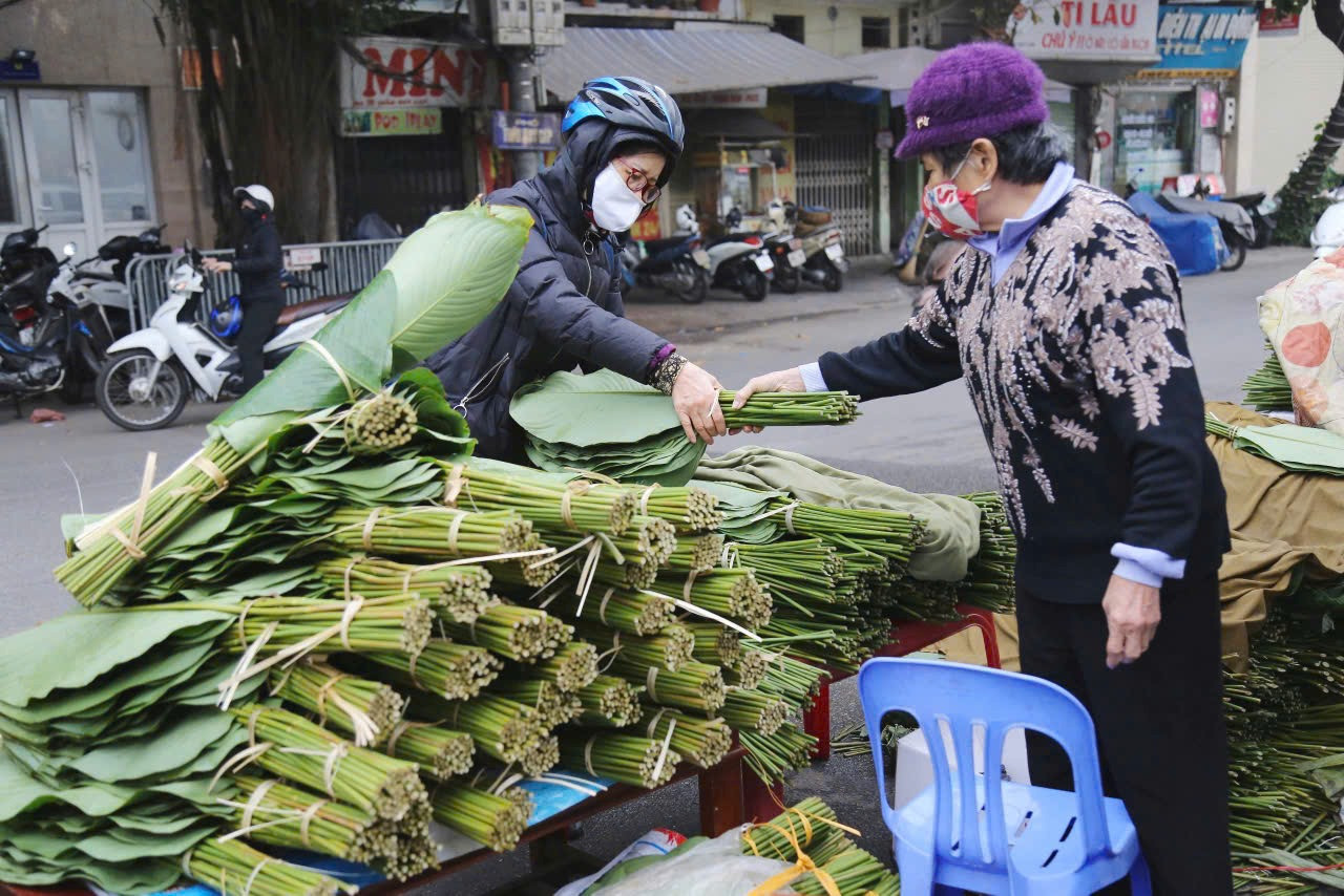 Lá cây trở thành hàng xuất khẩu tiền tỷ. Ảnh: Thanh Huyền.