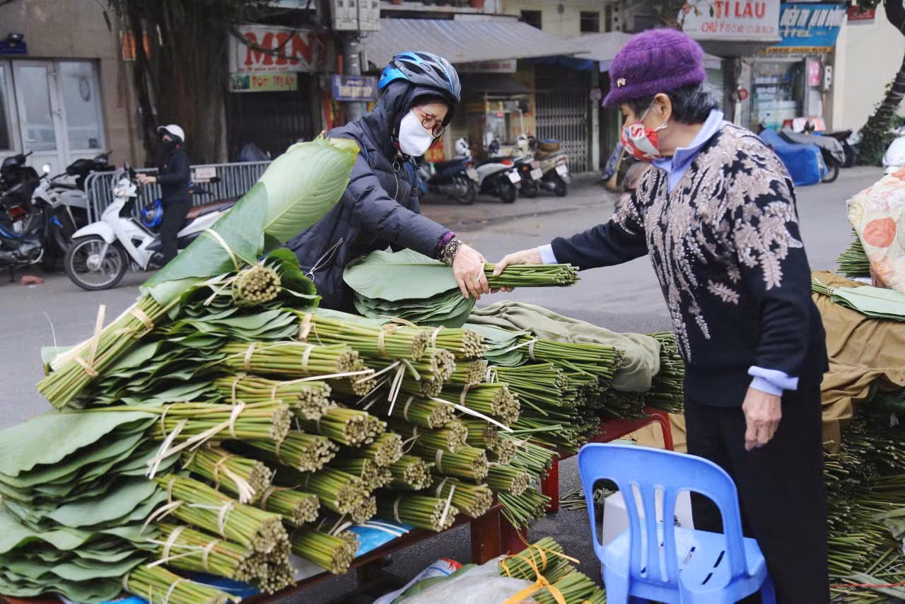 Lá cây trở thành hàng xuất khẩu tiền tỷ. Ảnh: Thanh Huyền.
