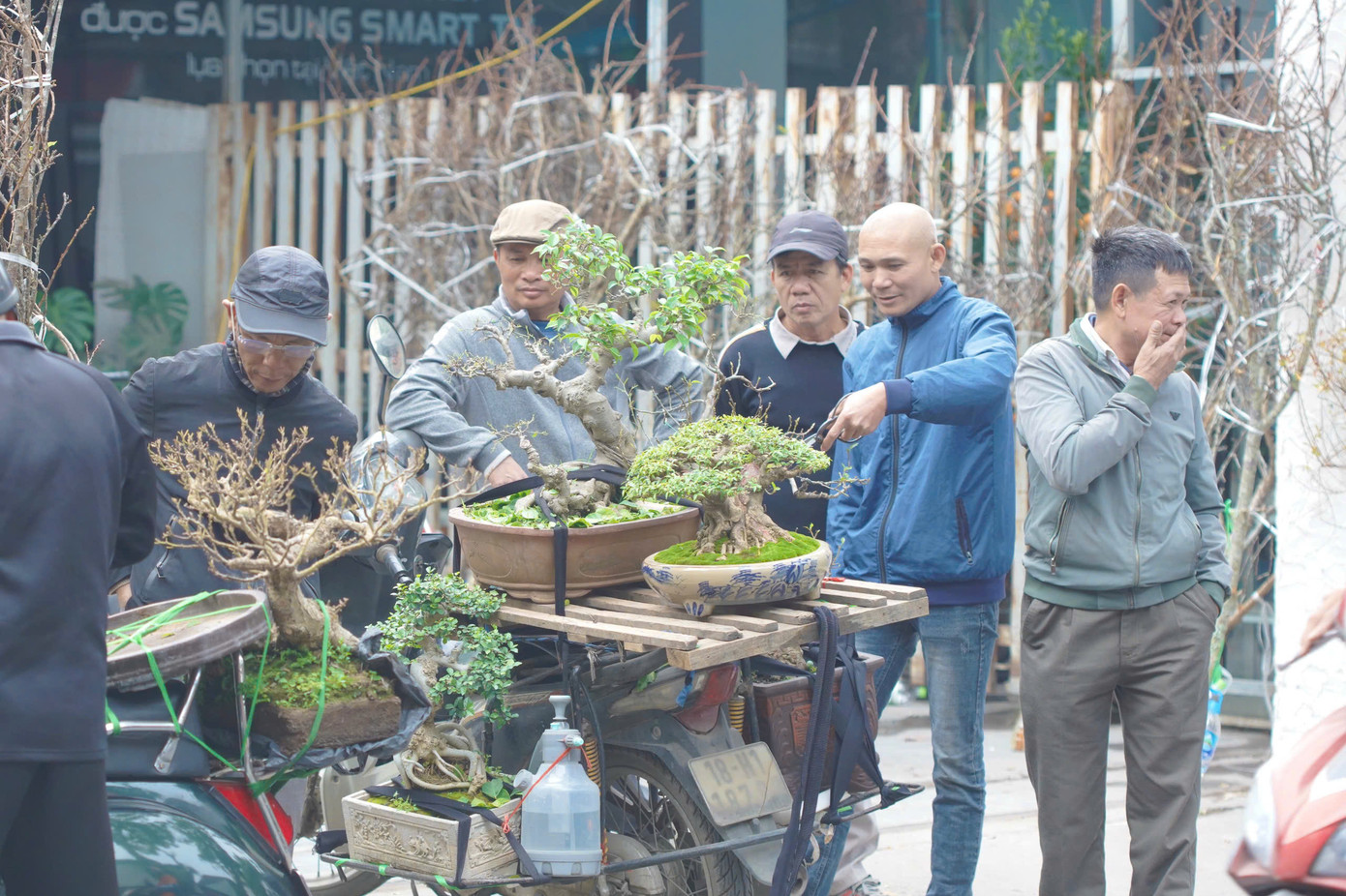 Phố cây cảnh Hoàng Hoa Thám không chỉ là nơi giao thương, mua bán mà còn là nét văn hóa đặc trưng của Hà Nội mỗi dịp Tết đến xuân về, góp phần làm phong phú thêm đời sống tinh thần của người dân Thủ đô.