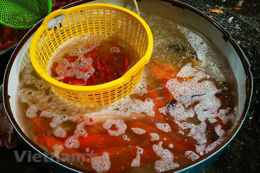 Trong đó, cá chép đỏ được phân chia thành nhiều loại như chép tam dương, chép vàng chanh, chép đỏ ớt. (Minh Hiếu/Vietnam+)