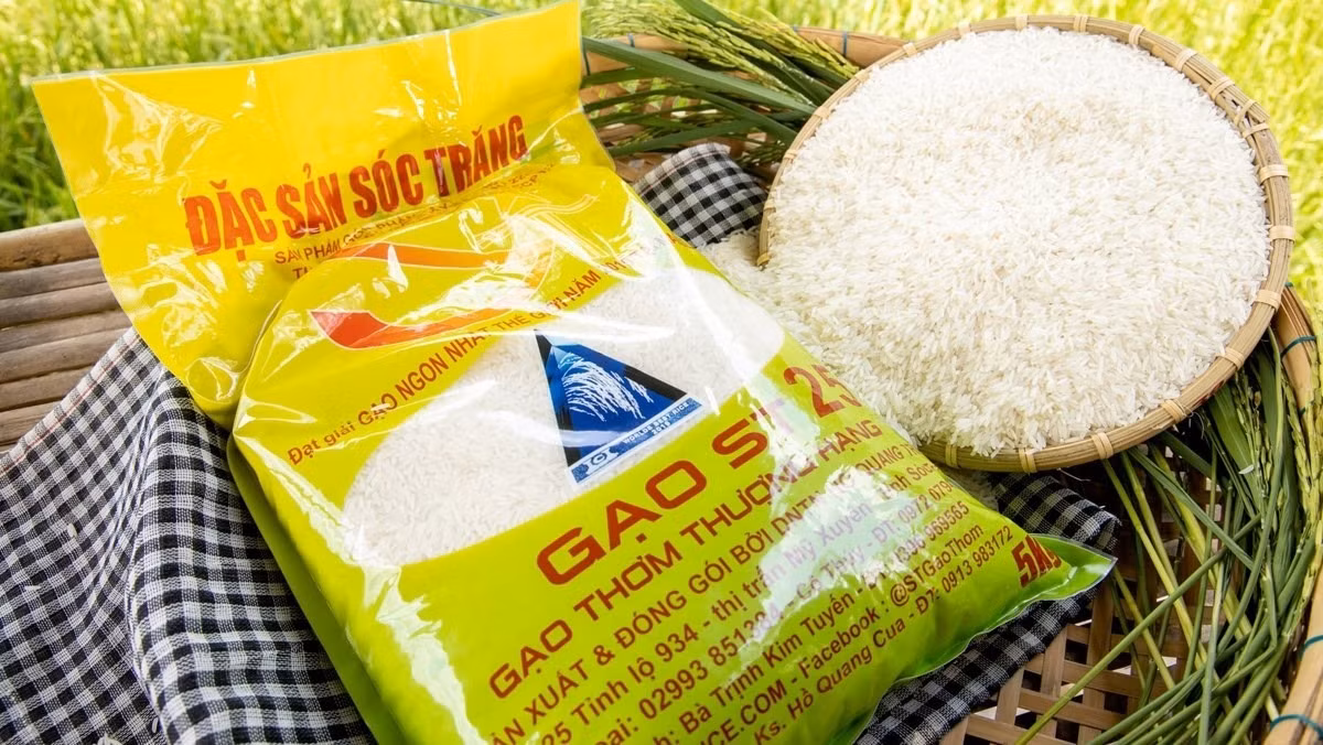 Gạo ST25 được nhiều thị trường ưa chuộng nhưng chưa đáp ứng đủ yêu cầu. Ảnh minh họa. Gạo ST25 được nhiều thị trường ưa chuộng nhưng chưa đáp ứng đủ yêu cầu. Ảnh minh họa.