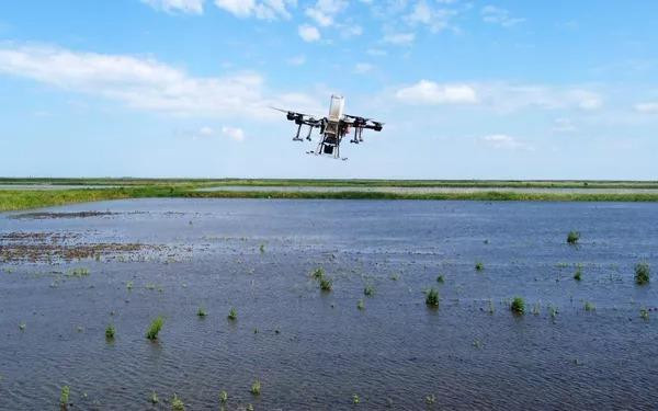 Người dân có thể áp dụng phương pháp gieo hạt này vào bất kỳ thời điểm nào trong ngày.