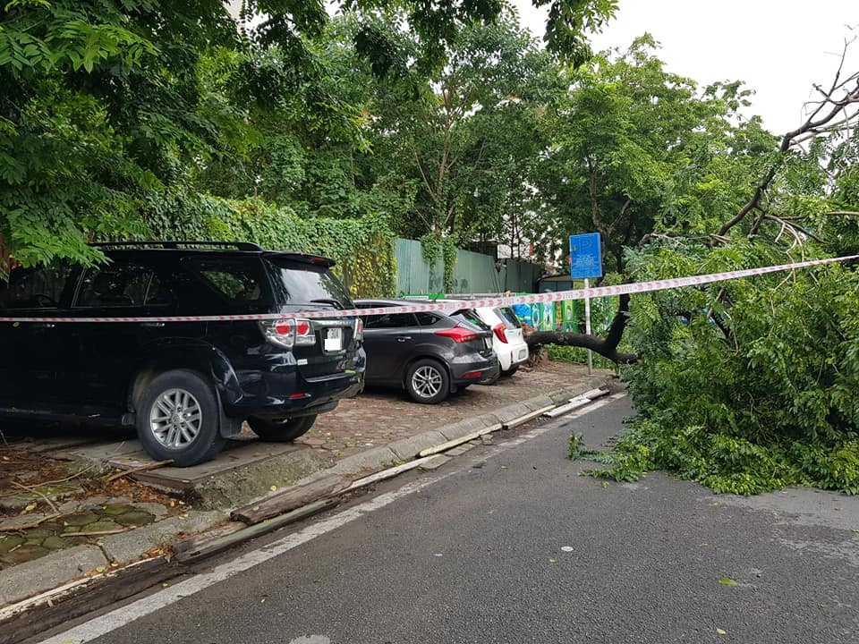 Suốt hơn 1 tuần qua thủ đô Hà Nội trải qua đợt nắng nóng khô rát khiến nhiều chủ ô tô chọn nơi đỗ gần tán cây, dẫn đến khi có mưa giông rất dễ gặp sự cố Suốt hơn 1 tuần qua thủ đô Hà Nội trải qua đợt nắng nóng khô rát khiến nhiều chủ ô tô chọn nơi đỗ gần tán cây, dẫn đến khi có mưa giông rất dễ gặp sự cố