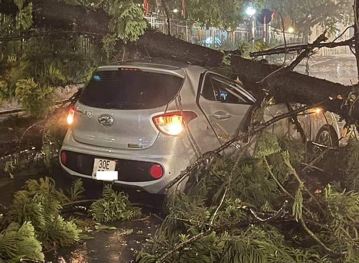 Chiếc Hyundai Grand i10 bị cây đổ bẹp nó xe ở quận Hoàn Kiếm. Ảnh: Phạm Tuấn Hải Chiếc Hyundai Grand i10 bị cây đổ bẹp nó xe ở quận Hoàn Kiếm. Ảnh: Phạm Tuấn Hải