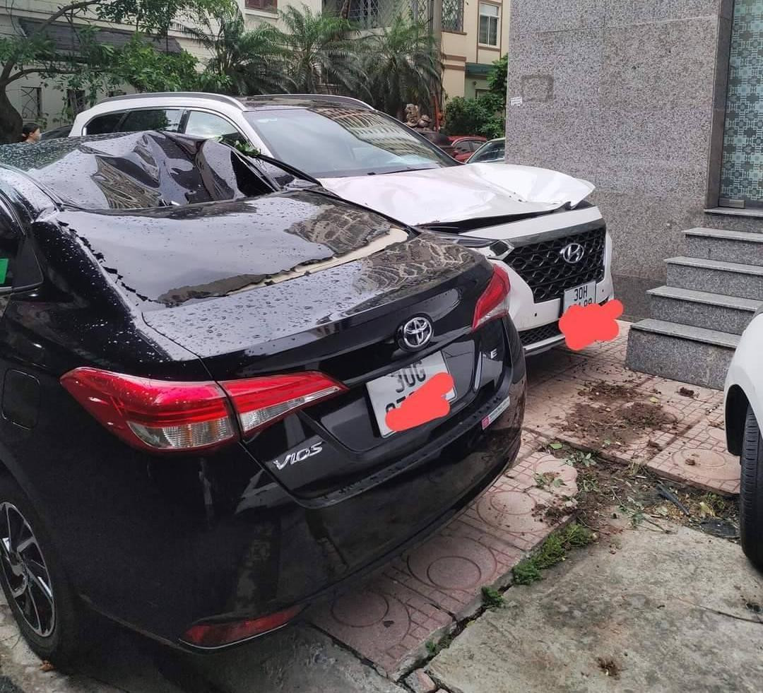 Không chỉ bị cây đổ mà gió mạnh cũng khiến những ô tô đỗ dưới sân chung cư gặp họa khi bị mảng tường hoặc chậu cây rơi vào. Ảnh: Trần Thường Không chỉ bị cây đổ mà gió mạnh cũng khiến những ô tô đỗ dưới sân chung cư gặp họa khi bị mảng tường hoặc chậu cây rơi vào. Ảnh: Trần Thường