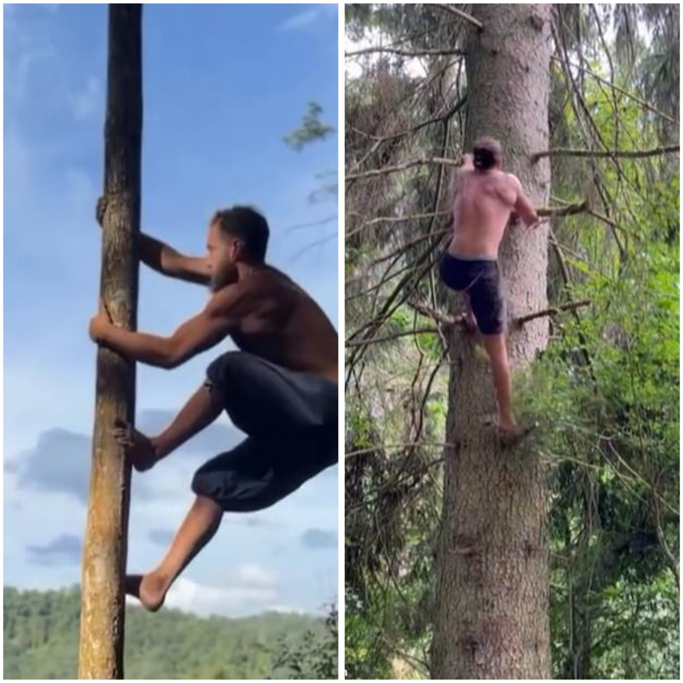 Hình ảnh Leopald Hurbin leo lên các cành cây “như khỉ”.Ảnh: Instagram/Leo.urban. Hình ảnh Leopald Hurbin leo lên các cành cây “như khỉ”.Ảnh: Instagram/Leo.urban.