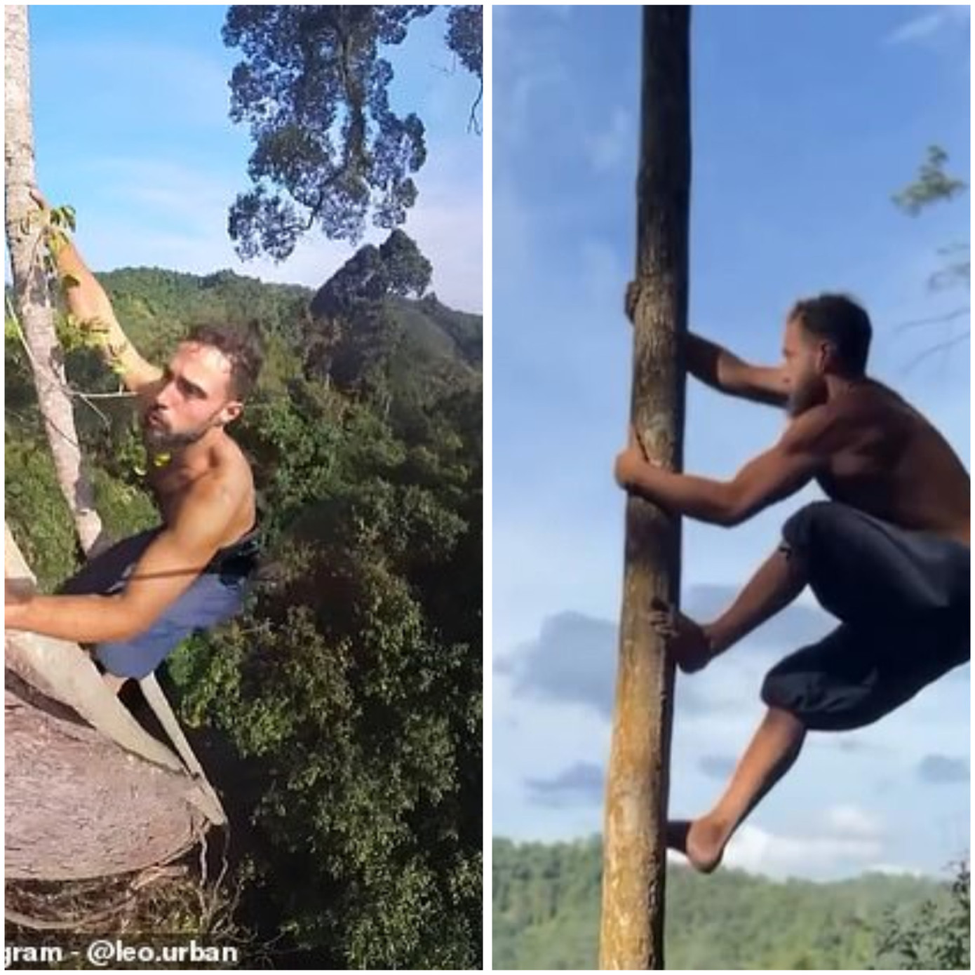 Tặc răng đời thật leo và đu cây bằng chân trần. Ảnh: Instagram/Leo.urban. Tặc răng đời thật leo và đu cây bằng chân trần. Ảnh: Instagram/Leo.urban.
