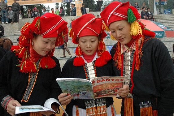 Ảnh minh họa Ảnh minh họa