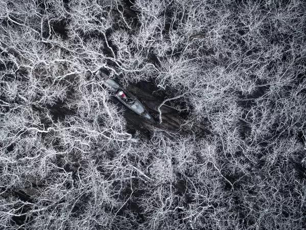 Bức ảnh nhà nhiếp ảnh Thien Nguyen, được đánh giá cao trong hạng mục Human Connection Award: People & Planet Ocean tại cuộc thi Ocean Photographer of the Year 2022. Một người dẫn đường tại rừng ngập mặn được bảo vệ Rú Chá. Bức ảnh nhà nhiếp ảnh Thien Nguyen, được đánh giá cao trong hạng mục Human Connection Award: People & Planet Ocean tại cuộc thi Ocean Photographer of the Year 2022. Một người dẫn đường tại rừng ngập mặn được bảo vệ Rú Chá.