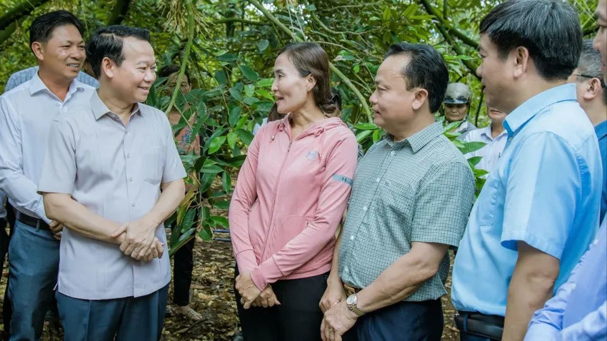 Bộ trưởng Đỗ Đức Duy (thứ hai từ trái sang) trao đổi với người trồng sầu riêng ở Đắk Lắk. Ảnh: N.N. Bộ trưởng Đỗ Đức Duy (thứ hai từ trái sang) trao đổi với người trồng sầu riêng ở Đắk Lắk. Ảnh: N.N.