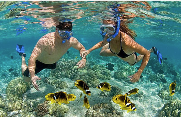 Thế giới san hô rực rỡ sắc màu là một phần trong hệ sinh thái biển rừng phong phú của Hòn Thơm Thế giới san hô rực rỡ sắc màu là một phần trong hệ sinh thái biển rừng phong phú của Hòn Thơm