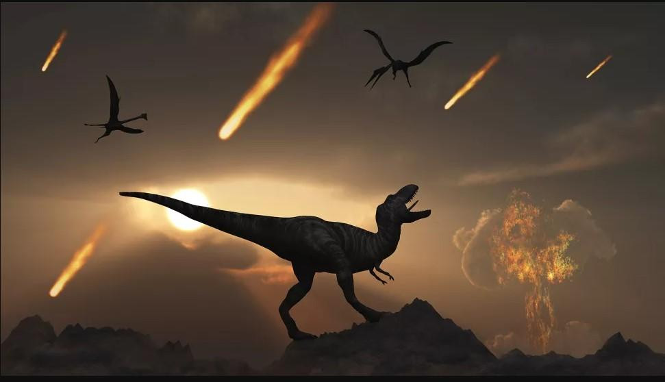 Thảm họa thiên thạch từng hủy diệt loài khủng long, nhưng lại không thể tiêu diệt được loài gián. Ảnh: Getty Images