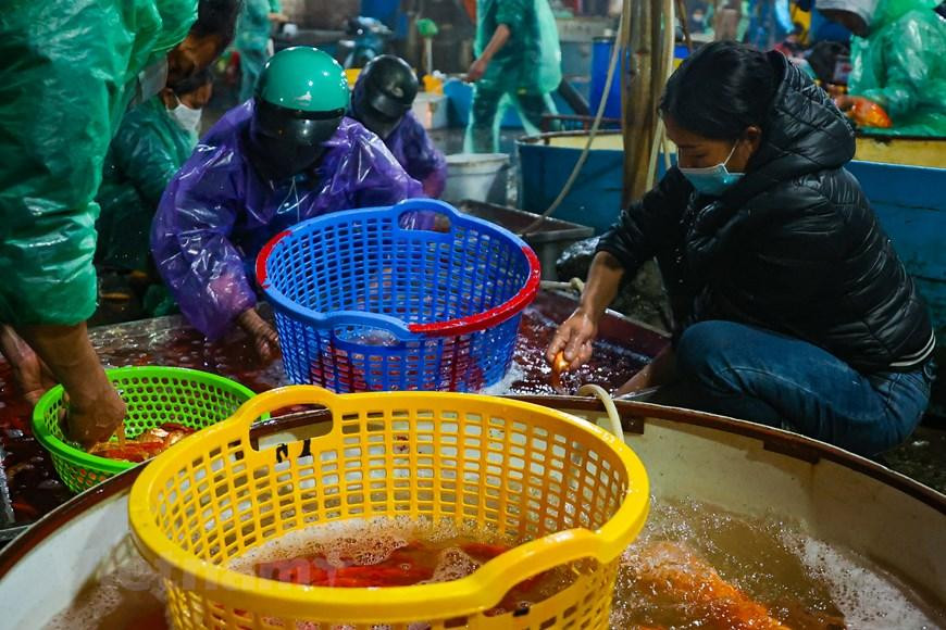 Hàng trăm tiểu thương từ các nơi cũng đến mua cá về bán lẻ tại các chợ nhỏ. (Minh Hiếu/Vietnam+)