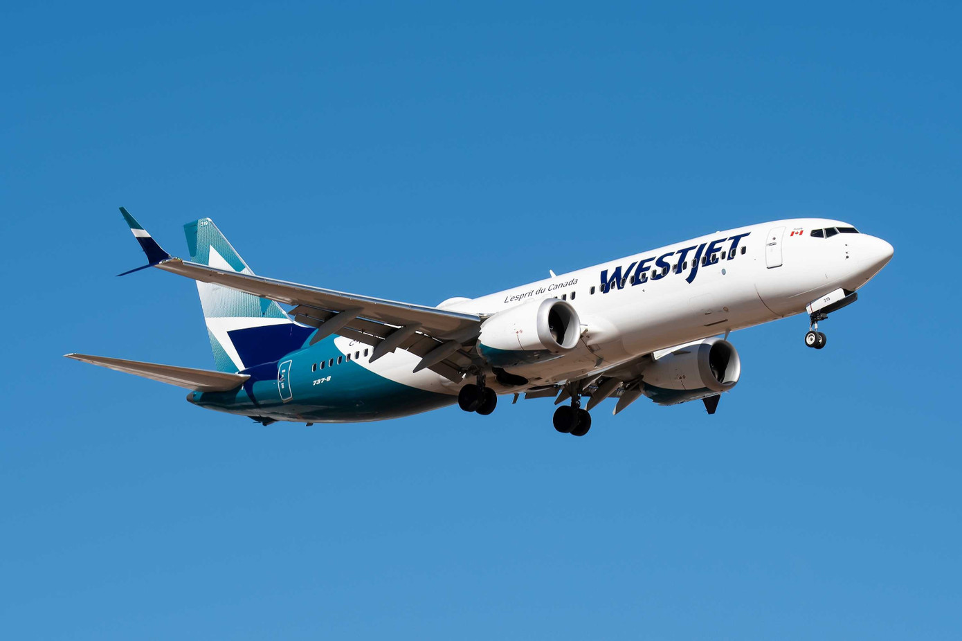 16 máy bay Boeing 737 của WestJet bị hư hại nghiêm trọng do mưa đá. Ảnh: Robin Guess | Shutterstock.