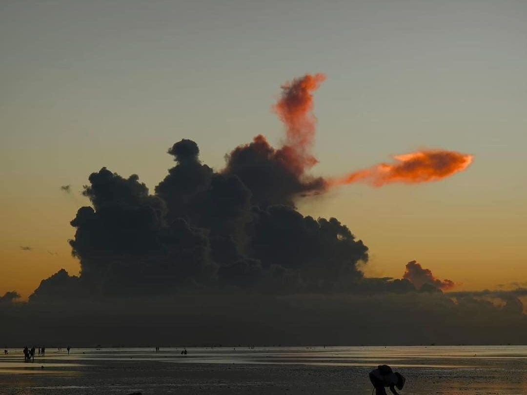 Khoảnh khắc "cá chép hóa rồng" vô cùng độc đáo. Ảnh: Vũ Dương. Khoảnh khắc "cá chép hóa rồng" vô cùng độc đáo. Ảnh: Vũ Dương.