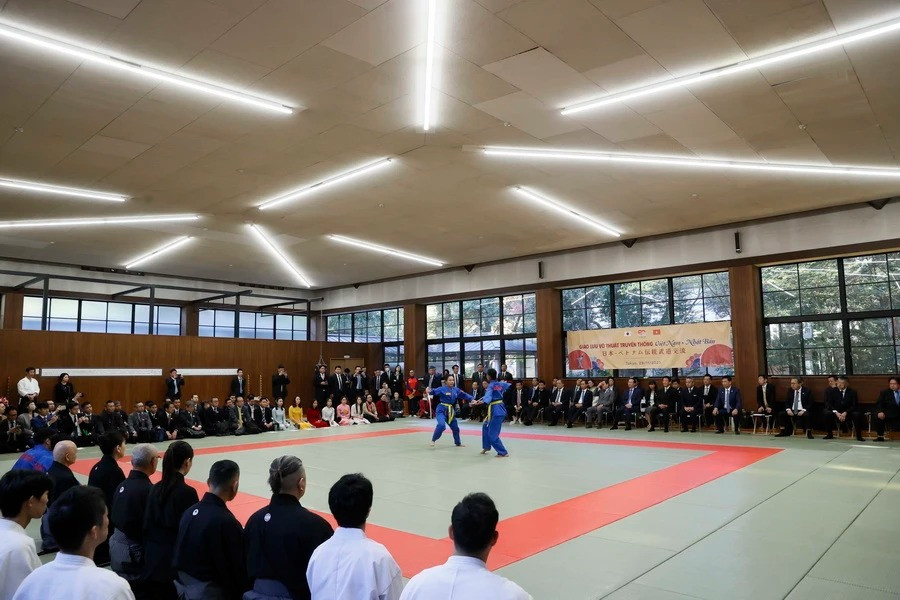 Màn biểu diễn võ Vovinam tại buổi giao lưu võ thuật Việt Nam-Nhật Bản. (Ảnh: Thống Nhất/TTXVN)