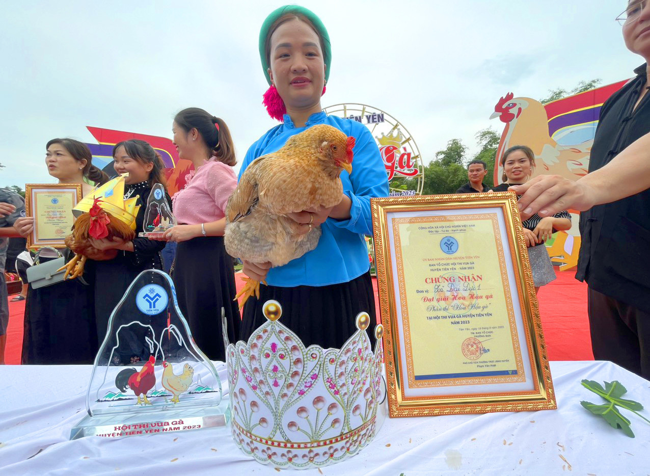 Hoa hậu gà được trao vương miện và chứng nhận của UBND huyện Tiên Yên Hoa hậu gà được trao vương miện và chứng nhận của UBND huyện Tiên Yên
