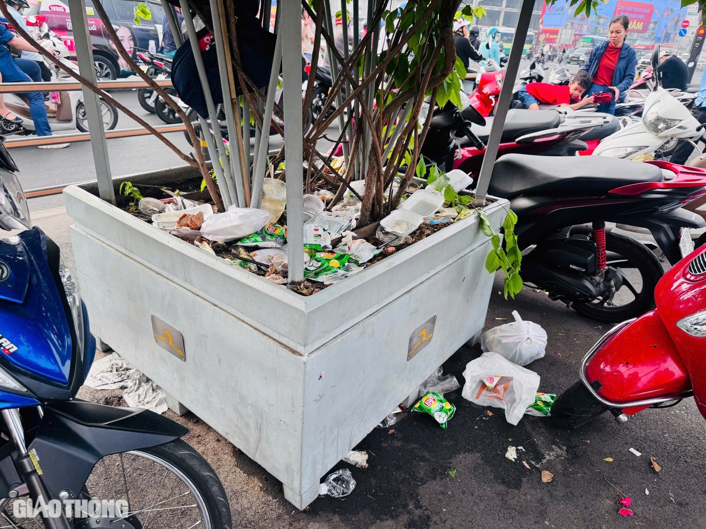 Tất cả các loại bao bóng, hộp đồ ăn - nước uống, vỏ bánh kẹo, thậm chí tã, quần áo, giày dép... bị vứt bỏ trên các chậu cây tạo ra khung cảnh vô cùng nhếch nhác.