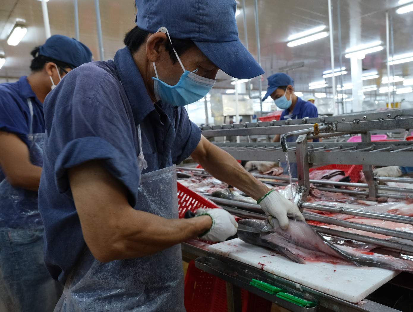 Gần như người nuôi trồng thủy sản chưa mua bảo hiểm nông nghiệp. Ảnh: Cảnh Kỳ.