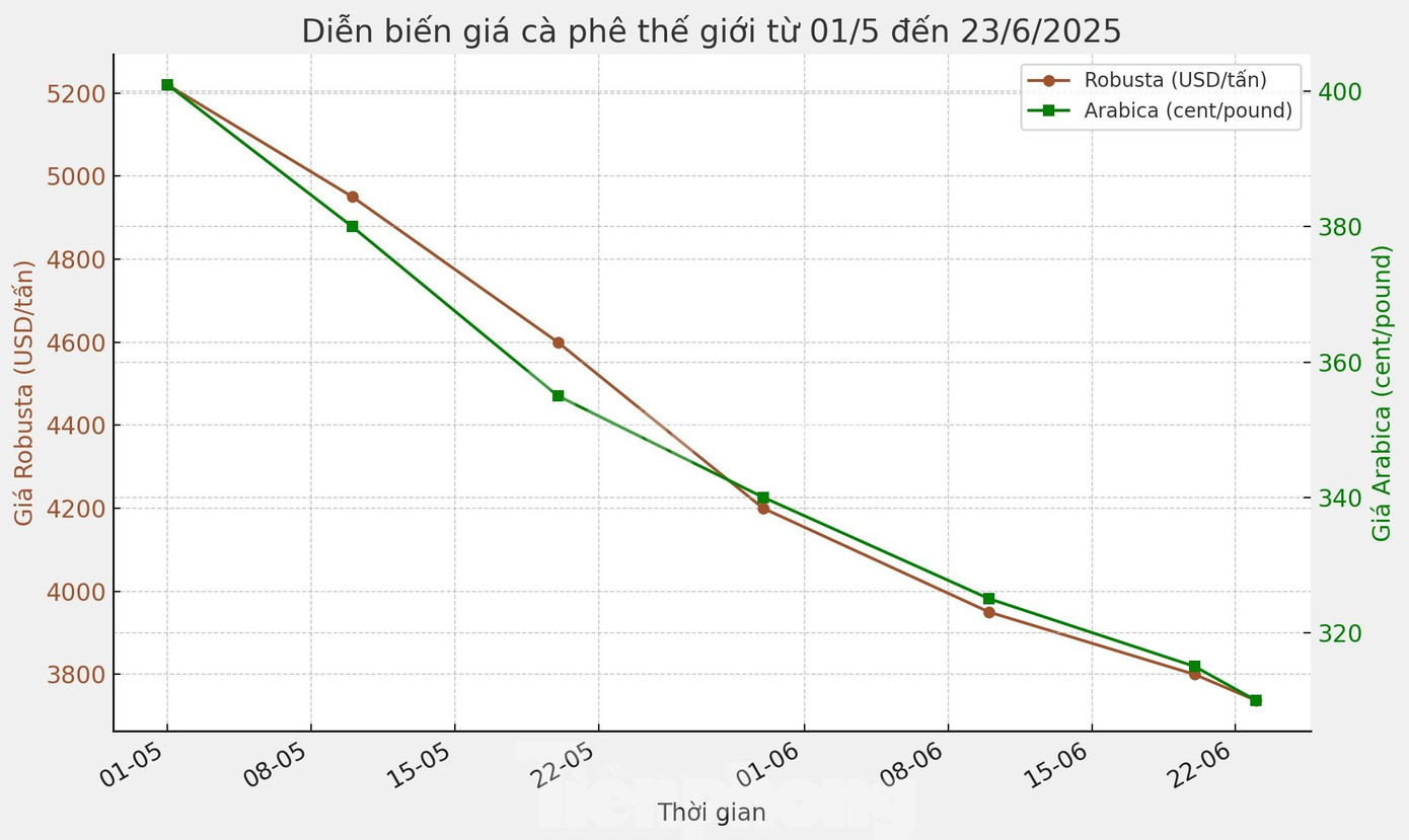Diễn biến giá cà phê thế giới từ đầu tháng 5 đến 23/6. Đồ họa: Thanh Huyền.