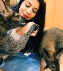 Khách đến với quán Eden Meerkat Friends ở Seoul để chơi đùa cùng chuột túi Wallaby