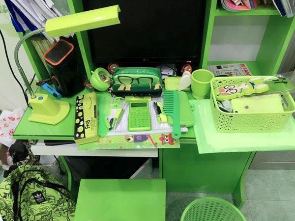 'Gia tài 10 năm' của nữ sinh Y dược 'cuồng' màu xanh lá ảnh 3